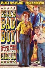 Watch Peck's Bad Boy with the Circus Sockshare