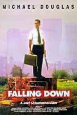 Watch Falling Down Sockshare