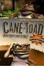 Watch Cane-Toad What Happened to Baz Sockshare