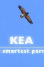 Watch Kea - The Smartest Parrot Sockshare