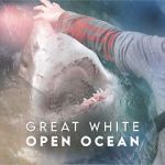 Watch Great White Open Ocean Sockshare