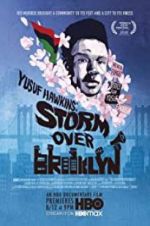 Watch Yusuf Hawkins: Storm Over Brooklyn Sockshare