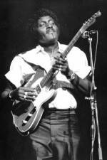 Watch Albert Collins in Concert Sockshare