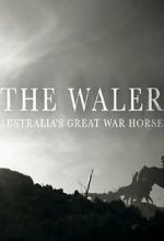 Watch The Waler: Australia\'s Great War Horse Sockshare