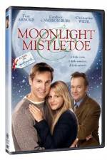 Watch Moonlight and Mistletoe Sockshare