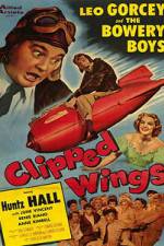 Watch Clipped Wings Sockshare