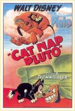 Watch Cat Nap Pluto Sockshare