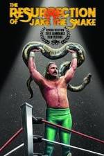 Watch The Resurrection of Jake The Snake Roberts Sockshare