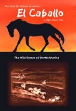 Watch El Caballo: The Wild Horses of North America Sockshare