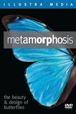 Watch Metamorphosis: The Beauty and Design of Butterflies Sockshare