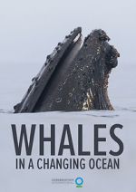 Watch Whales in a Changing Ocean (Short 2021) Sockshare