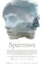 Watch Sparrows Sockshare