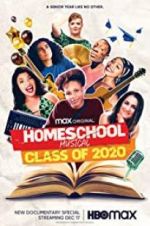 Watch Homeschool Musical: Class of 2020 Sockshare