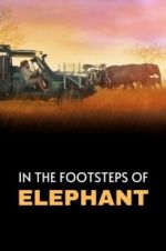 Watch In the Footsteps of Elephant Sockshare