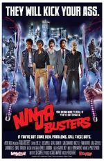 Watch Ninja Busters Sockshare