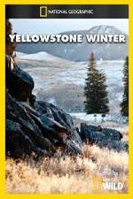 Watch National Geographic Yellowstone Winter Sockshare