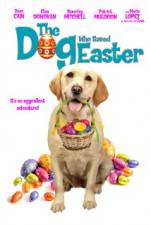 Watch The Dog Who Saved Easter Sockshare
