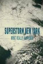 Watch Superstorm New York: What Really Happened Sockshare