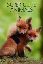 Watch Super Cute Animals Xmovies8