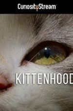 Watch Kittenhood Sockshare