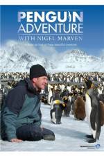 Watch Penguin Adventure With Nigel Marven Sockshare