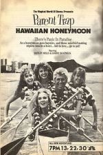 Watch Parent Trap: Hawaiian Honeymoon Sockshare