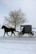 Watch Leaving Amish Paradise Sockshare