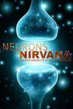 Watch Neurons to Nirvana Sockshare