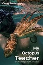 Watch My Octopus Teacher Sockshare