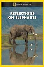 Watch Reflections on Elephants Sockshare