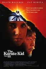 Watch The Karate Kid Part III Sockshare