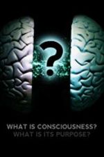 Watch What Is Consciousness? What Is Its Purpose? Sockshare