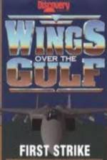 Watch Wings Over the Gulf Vol  1  First Strike Sockshare