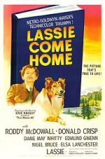 Watch Lassie Come Home Sockshare