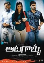 Watch Aatagallu Sockshare