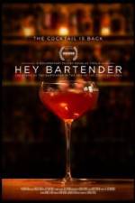 Watch Hey Bartender Sockshare