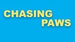 Watch Chasing Paws (Short 2020) Sockshare