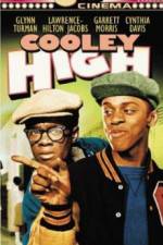 Watch Cooley High Sockshare