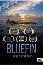 Watch Bluefin Sockshare