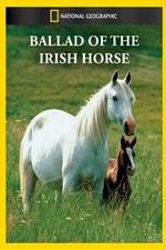 Watch Ballad of the Irish Horse Sockshare