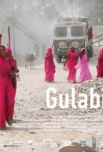 Watch Gulabi Gang Sockshare