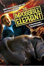 Watch The Incredible Elephant Sockshare