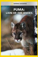 Watch National Geographic  Puma: Lion of the Andes Sockshare