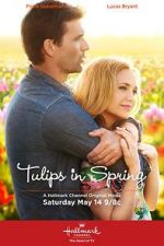 Watch Tulips in Spring Sockshare