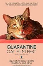 Watch Quarantine Cat Film Fest Sockshare