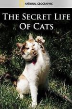Watch The Secret Life of Cats Sockshare