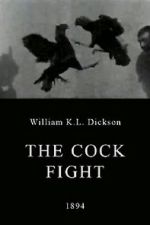 Watch The Cock Fight Sockshare