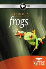 Watch Nature: Fabulous Frogs Sockshare