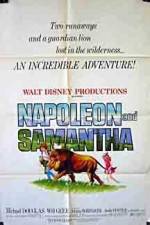 Watch Napoleon and Samantha Sockshare