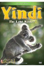 Watch Yindi the Last Koala Sockshare